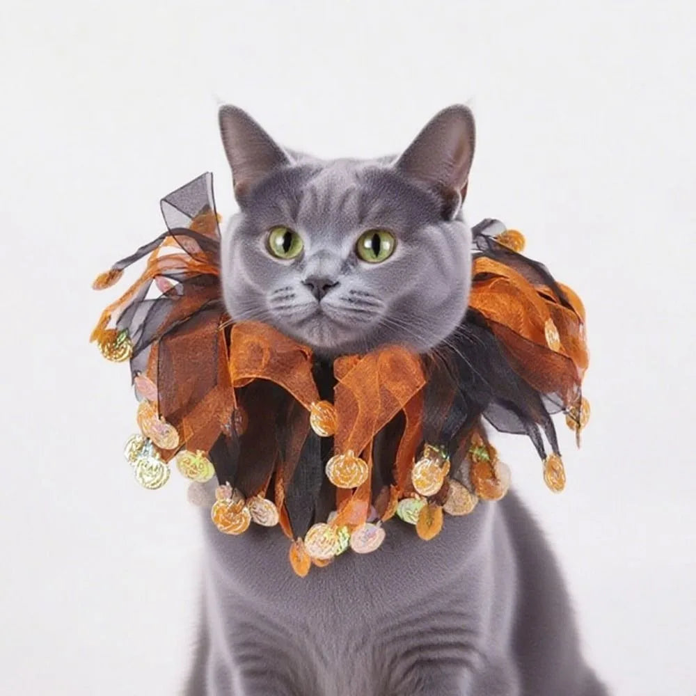 Costume de chat citrouille d'Halloween Kawaii, accessoires de cosplay réglables, col…