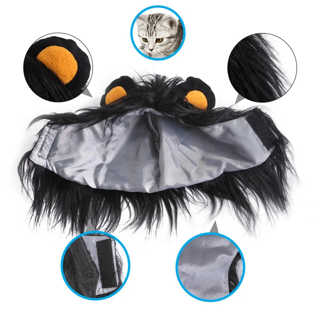 Costume d'Halloween pour chien et chat de compagnie Cosplay Lion
