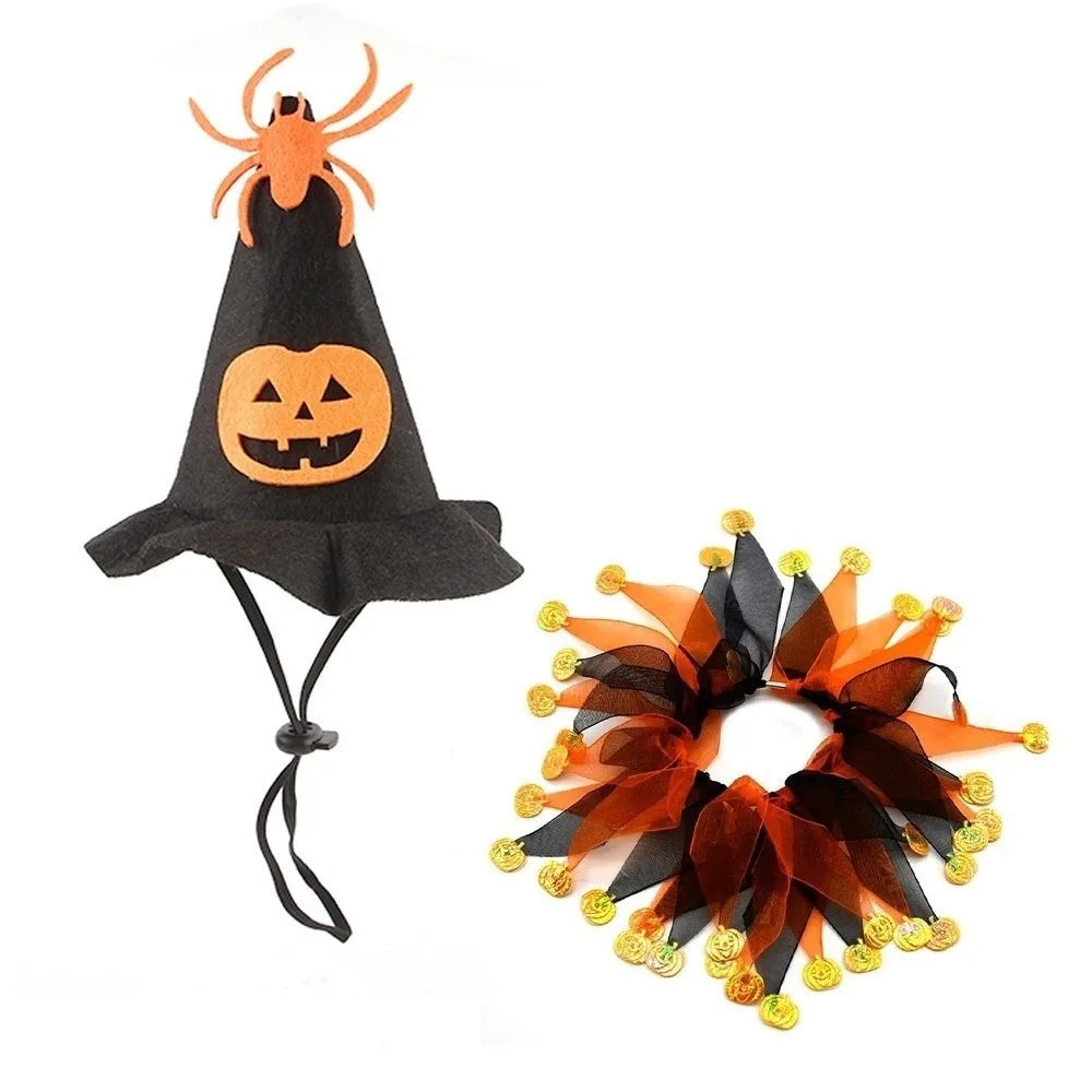 Costume de chat citrouille d'Halloween Kawaii, accessoires de cosplay réglables, col…
