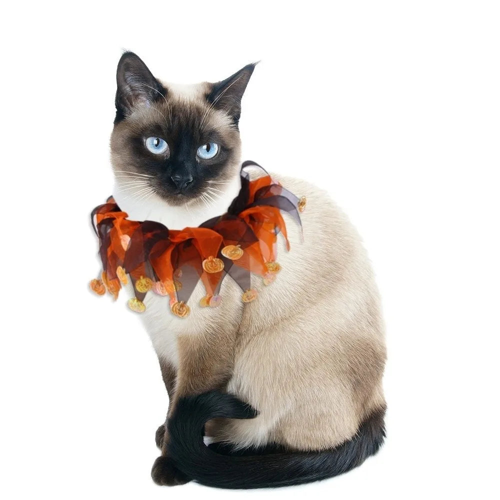Costume de chat citrouille d'Halloween Kawaii, accessoires de cosplay réglables, col…