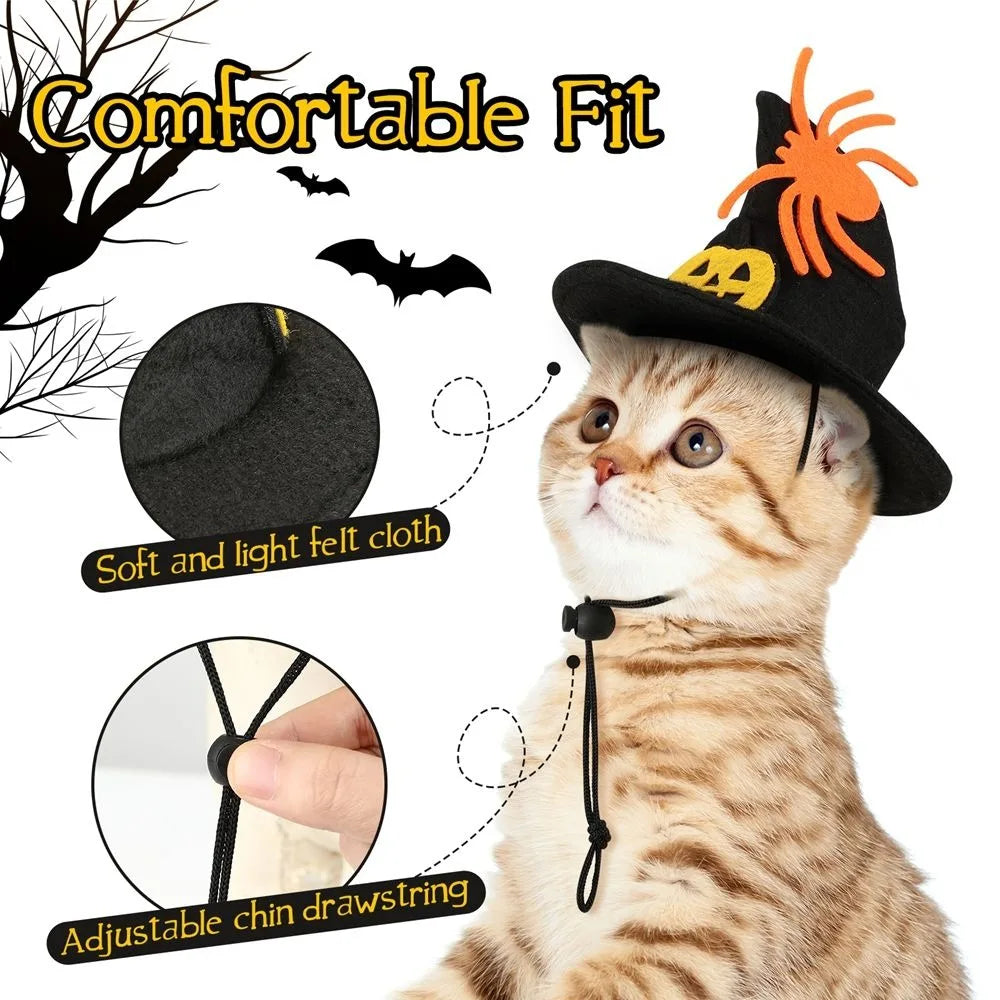 Costume de chat citrouille d'Halloween Kawaii, accessoires de cosplay réglables, col…