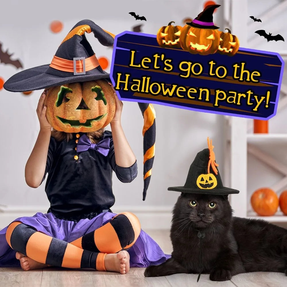 Costume de chat citrouille d'Halloween Kawaii, accessoires de cosplay réglables, col…