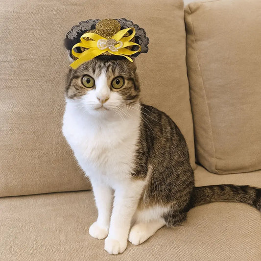 Pet Accessories Adjustable Pet Halloween Hat Sequin Elastic Band Cat Cosplay Hat British Style Pet Decorative Hat Pet Party