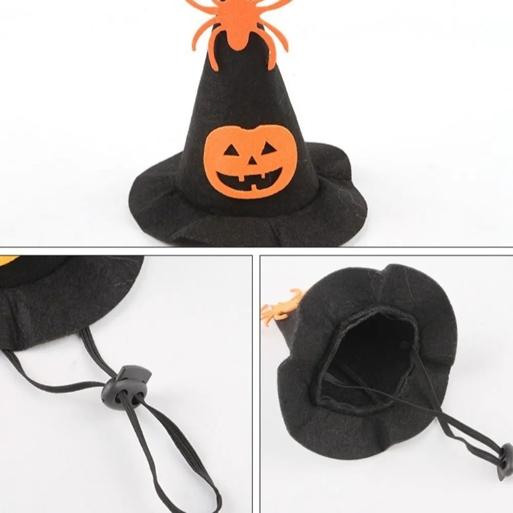Costume de chat citrouille d'Halloween Kawaii, accessoires de cosplay réglables, col…