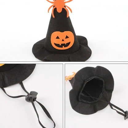 Costume de chat citrouille d'Halloween Kawaii, accessoires de cosplay réglables, col…