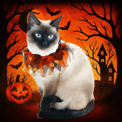 Costume de chat citrouille d'Halloween Kawaii, accessoires de cosplay réglables, col…