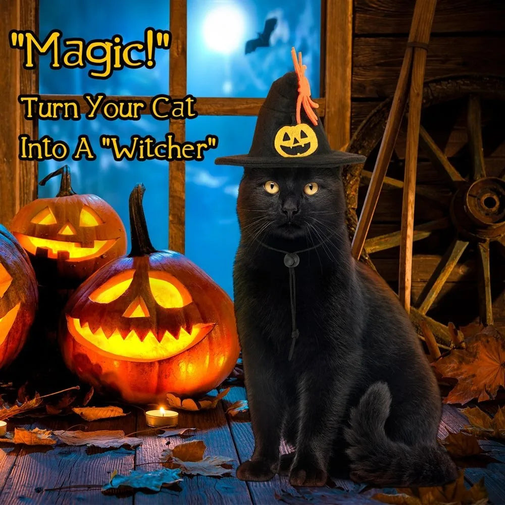 Costume de chat citrouille d'Halloween Kawaii, accessoires de cosplay réglables, col…