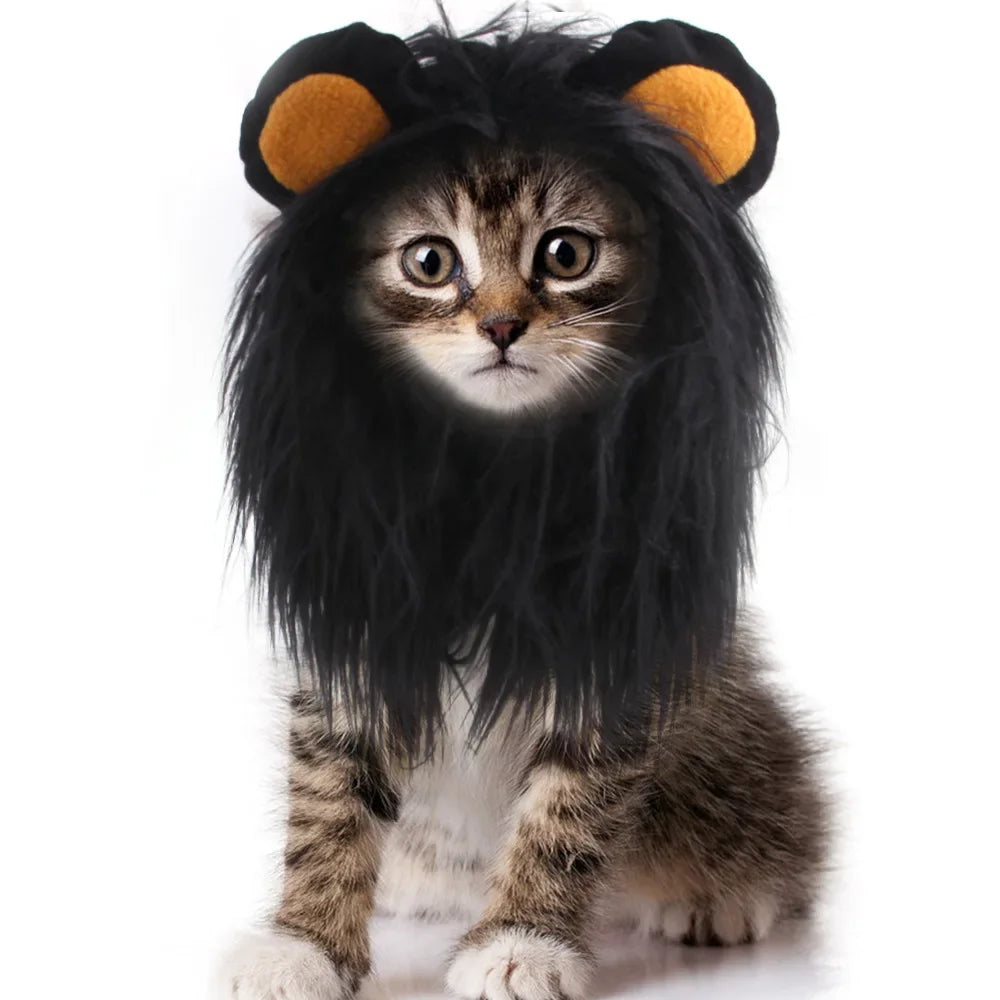 Costume d'Halloween pour chien et chat de compagnie Cosplay Lion