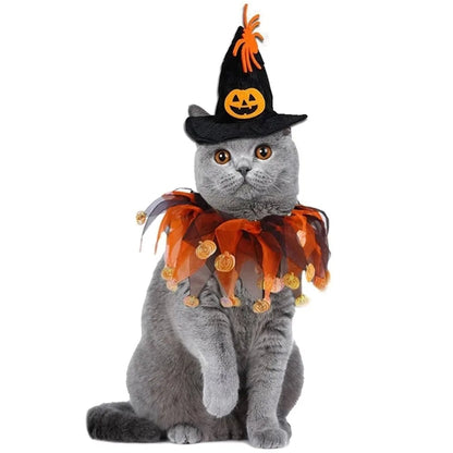 Costume de chat citrouille d'Halloween Kawaii, accessoires de cosplay réglables, col…